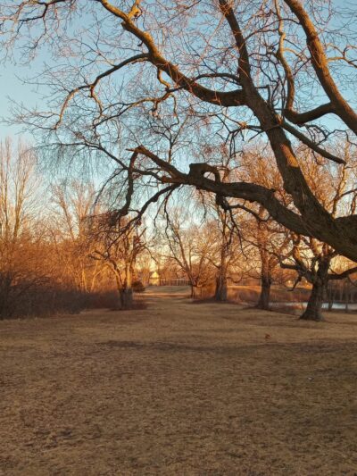 Salisbury Park - Brockton, MA