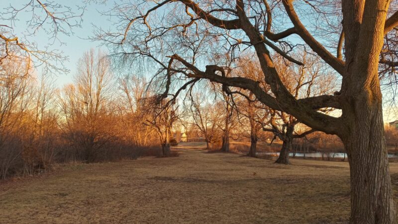 Salisbury Park - Brockton, MA