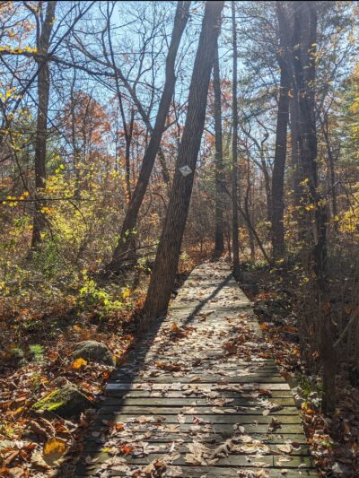 Wildlands Trust - Brockton Audubon Preserve - Brockton, MA