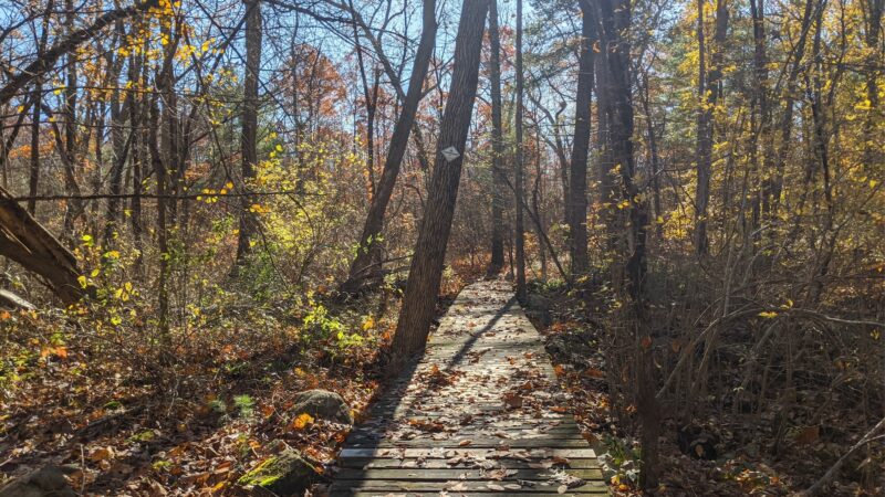 Wildlands Trust - Brockton Audubon Preserve - Brockton, MA