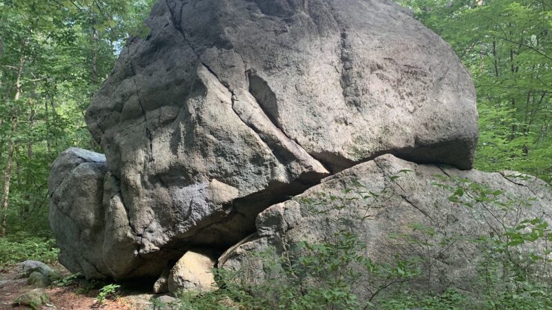 Wildlands Trust - Brockton Audubon Preserve - Brockton, MA