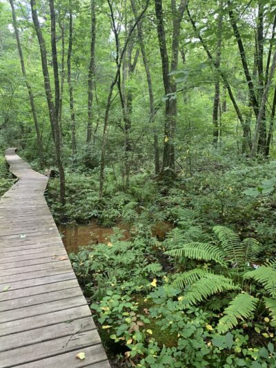 Wildlands Trust - Brockton Audubon Preserve - Brockton, MA