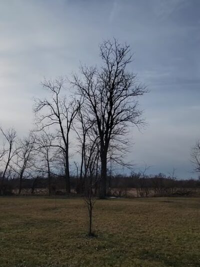 Headgates Park - Brodhead, WI