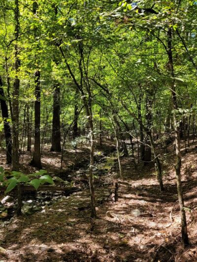 Friends Trail Loop Trailhead - Broken Bow, OK