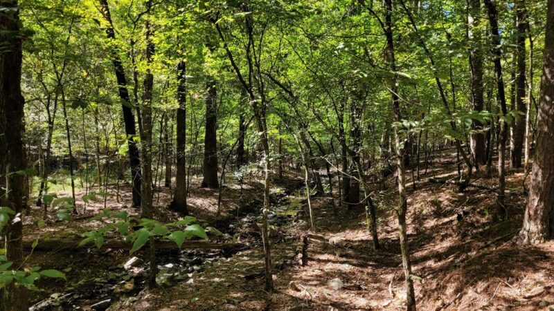 Friends Trail Loop Trailhead - Broken Bow, OK