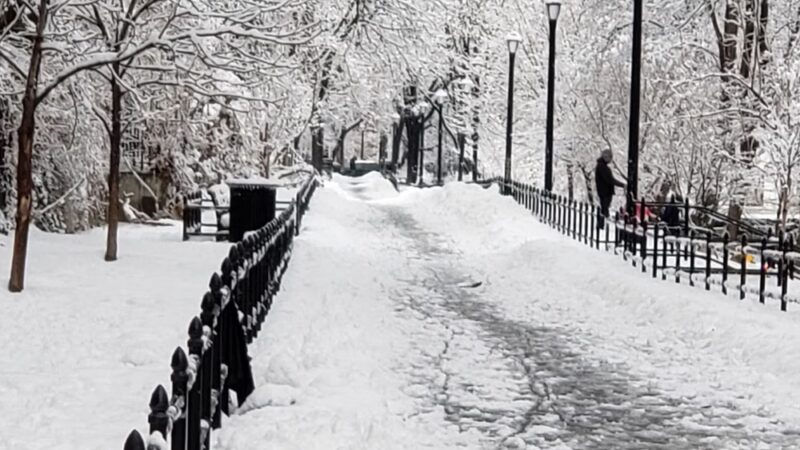 Aqueduct Walk - Bronx, NY