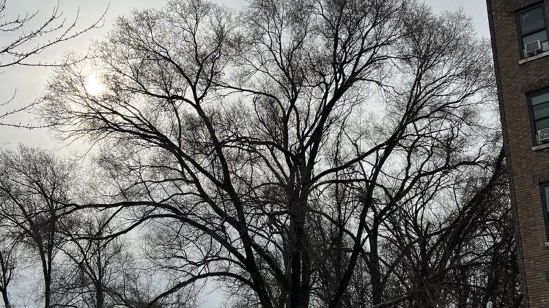 Aqueduct Walk - Bronx, NY