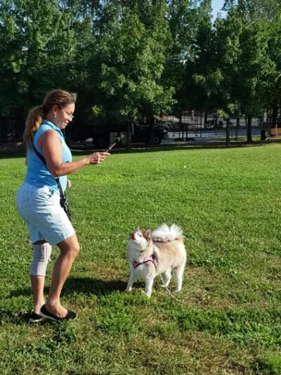Barretto Point Park - Bronx, NY
