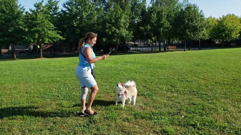 Barretto Point Park - Bronx, NY