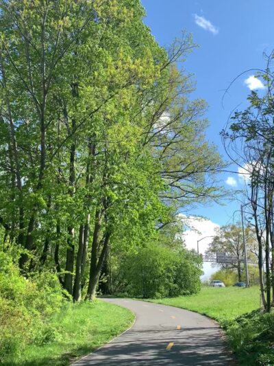 Bronx Park - Bronx, NY