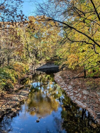 Bronx Park - Bronx, NY