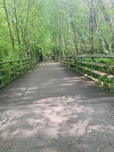 Bronx Park - Bronx, NY