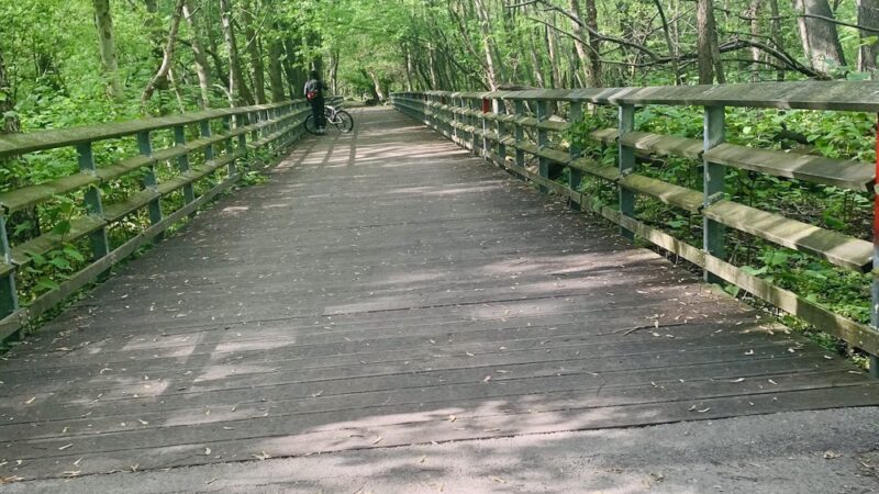 Bronx Park - Bronx, NY