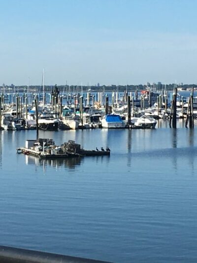 Catherine Scott Promenade - Bronx, NY