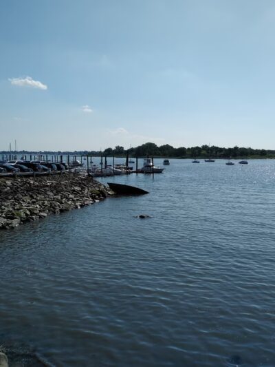 Catherine Scott Promenade - Bronx, NY