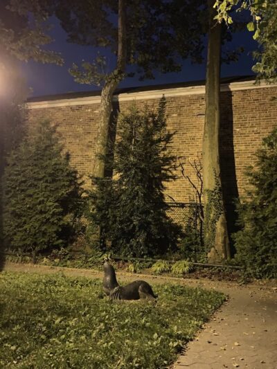 Hawkins Park - Bronx, NY