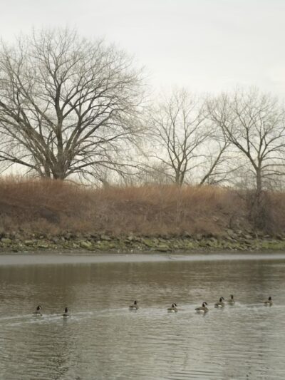 Hunts Point Riverside Park - Bronx, NY