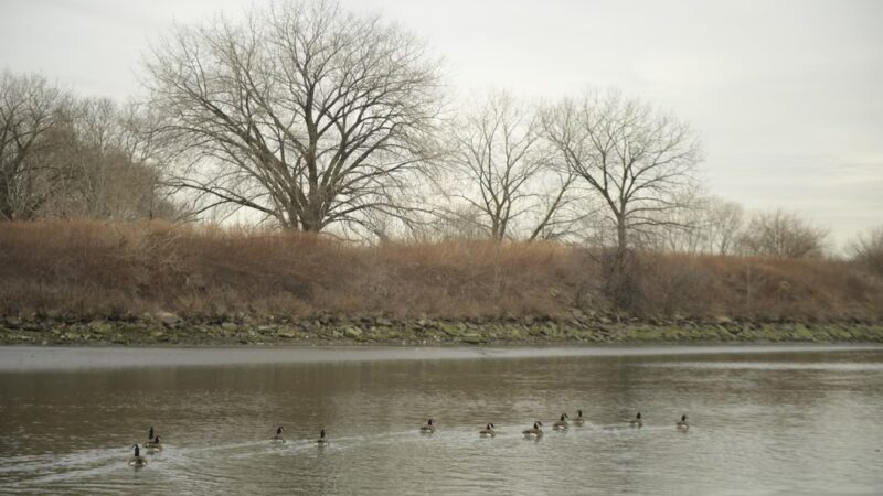 Hunts Point Riverside Park - Bronx, NY