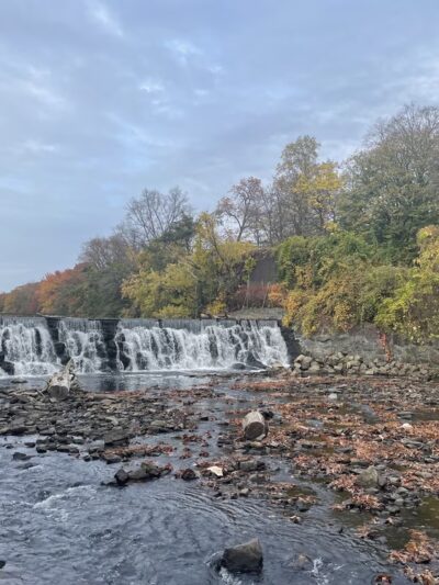 River Park - Bronx, NY