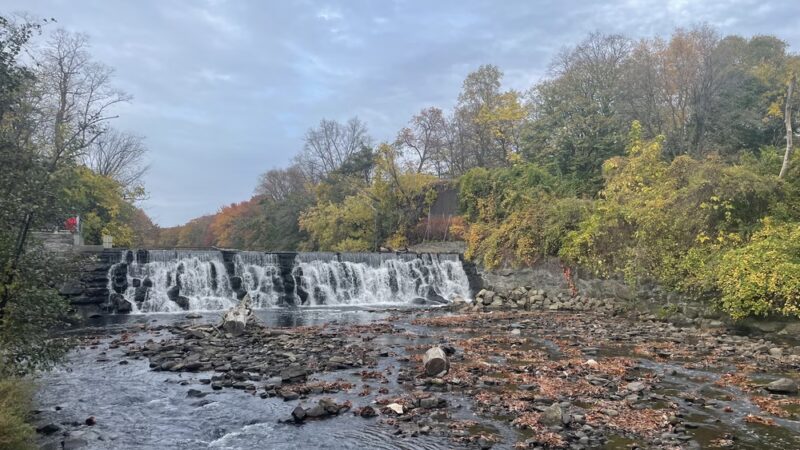 River Park - Bronx, NY