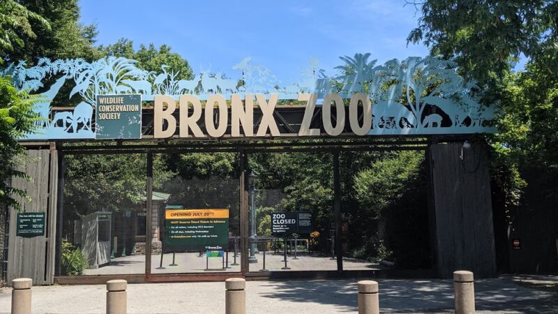 River Park - Bronx, NY