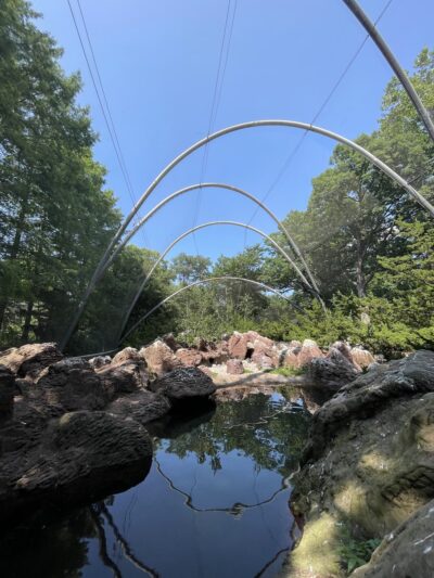 Sea Bird Aviary - Bronx, NY