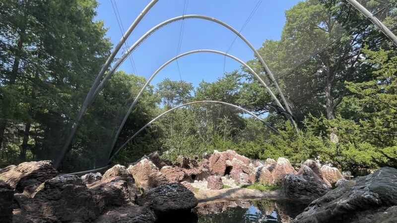 Sea Bird Aviary - Bronx, NY