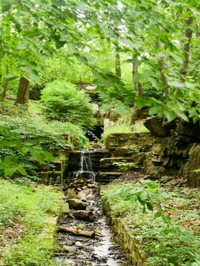 Seton Falls Park - Bronx, NY