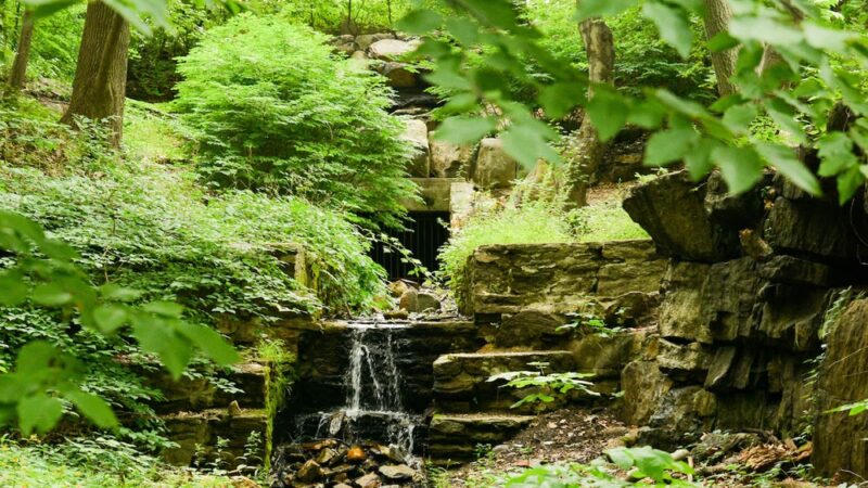 Seton Falls Park - Bronx, NY