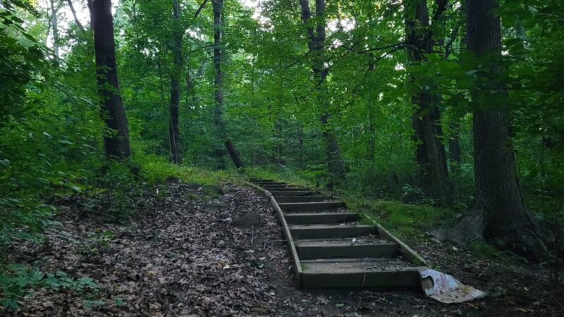 Seton Falls Park - Bronx, NY