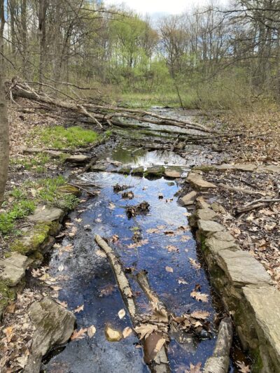 Seton Falls Park - Bronx, NY