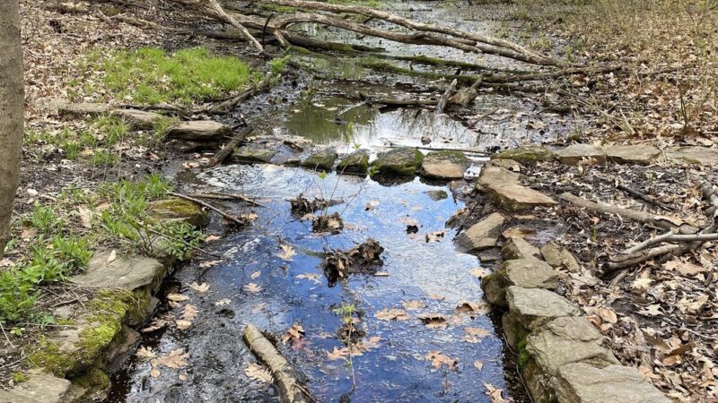 Seton Falls Park - Bronx, NY