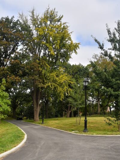 St. Mary's Park - Bronx, NY