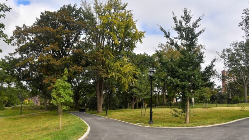 St. Mary's Park - Bronx, NY