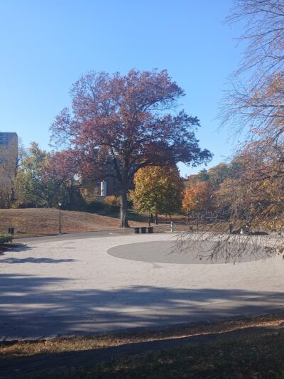 St. Mary's Park - Bronx, NY