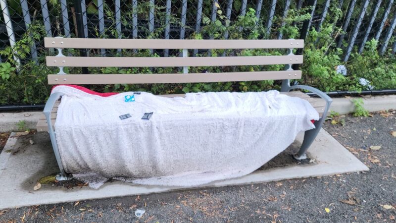 Starlight Park Dog Run - Bronx, NY