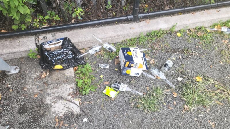 Starlight Park Dog Run - Bronx, NY