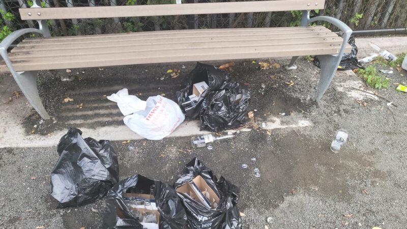 Starlight Park Dog Run - Bronx, NY