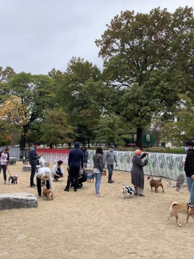 Bronx River Park Dog Run - Bronx, NY