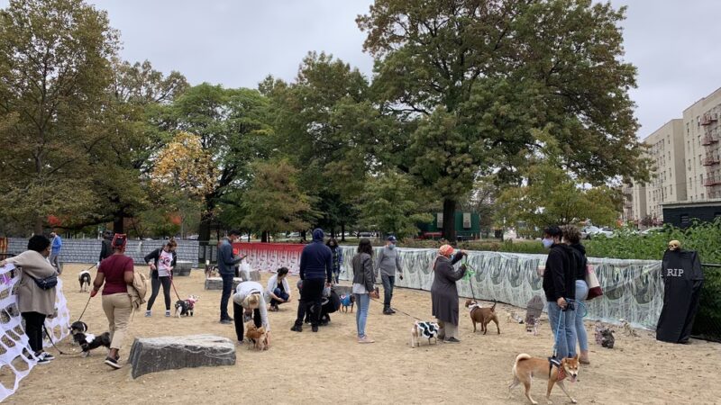 Bronx River Park Dog Run - Bronx, NY