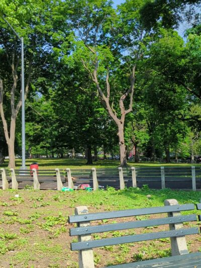 Claremont Park - Bronx, NY