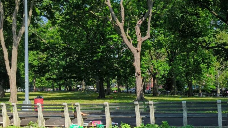 Claremont Park - Bronx, NY