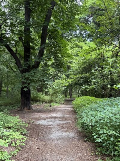 Huntington Woods - Bronx, NY