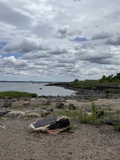 Huntington Woods - Bronx, NY