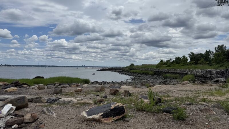 Huntington Woods - Bronx, NY