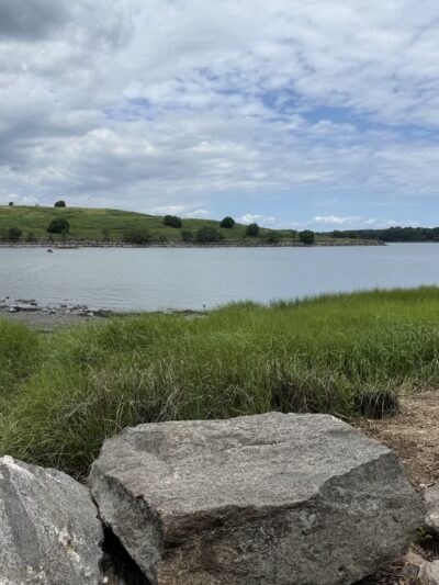 Huntington Woods - Bronx, NY