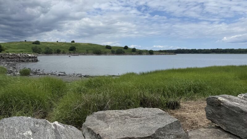 Huntington Woods - Bronx, NY