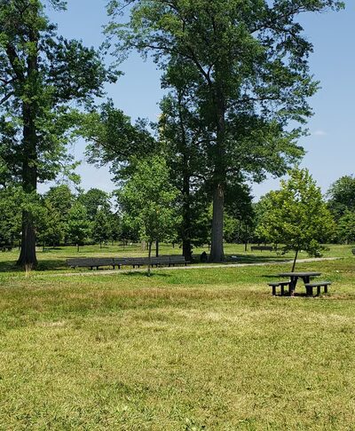 Huntington Woods - Bronx, NY