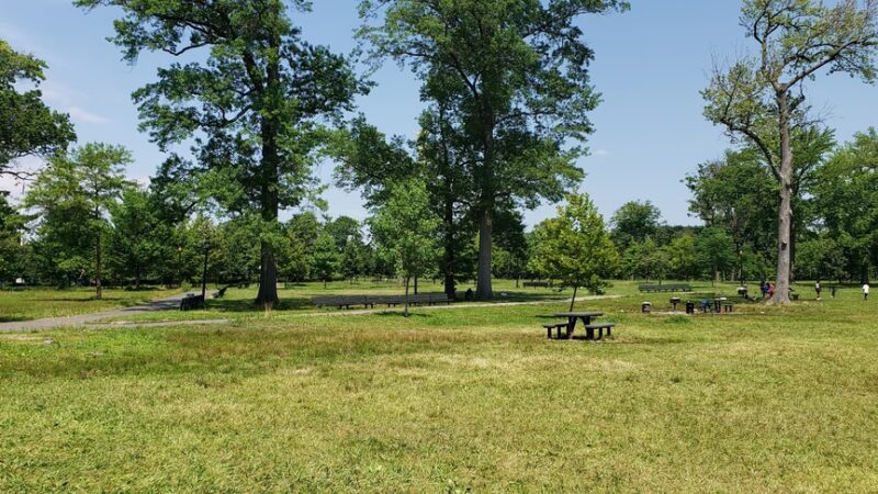 Huntington Woods - Bronx, NY