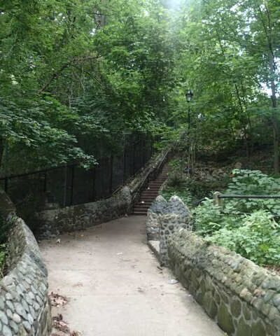 University Woods - Bronx, NY